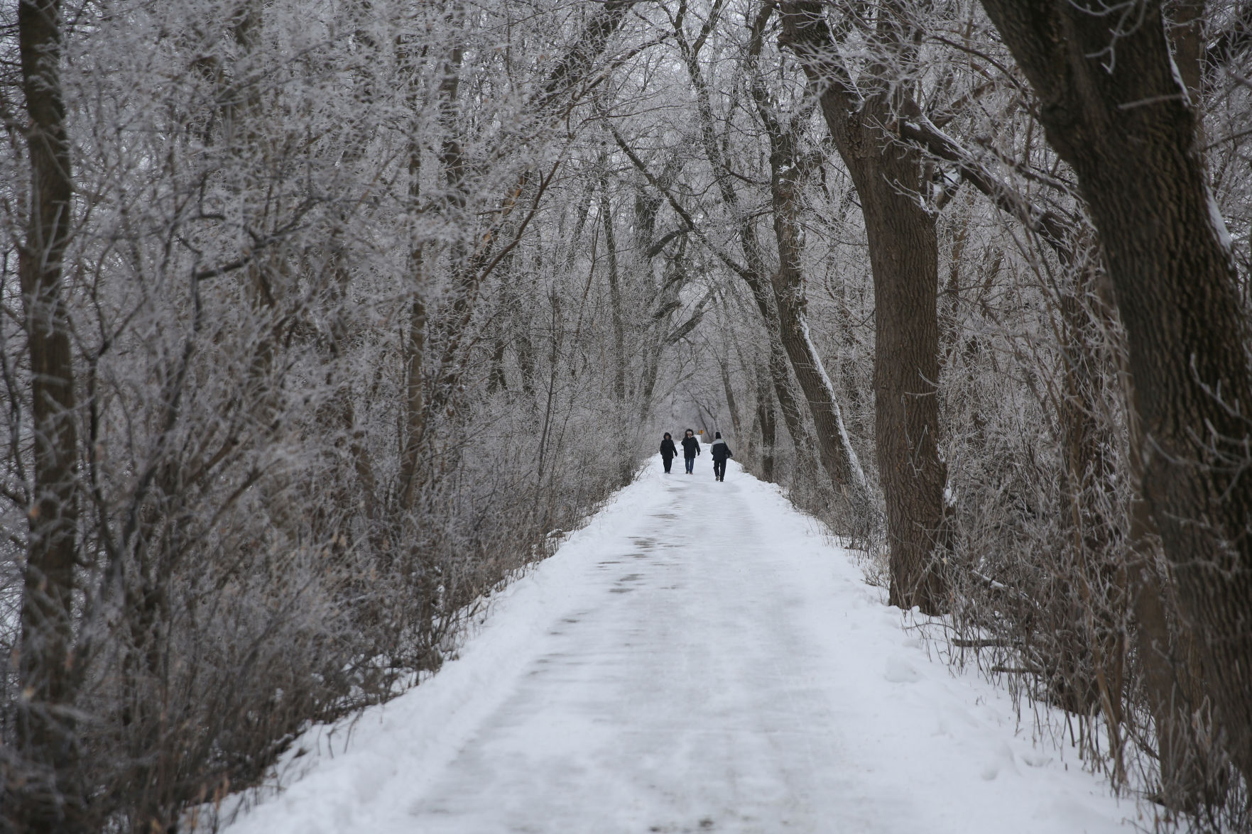 Frosty day - Feb. 2, 2020-16.jpg